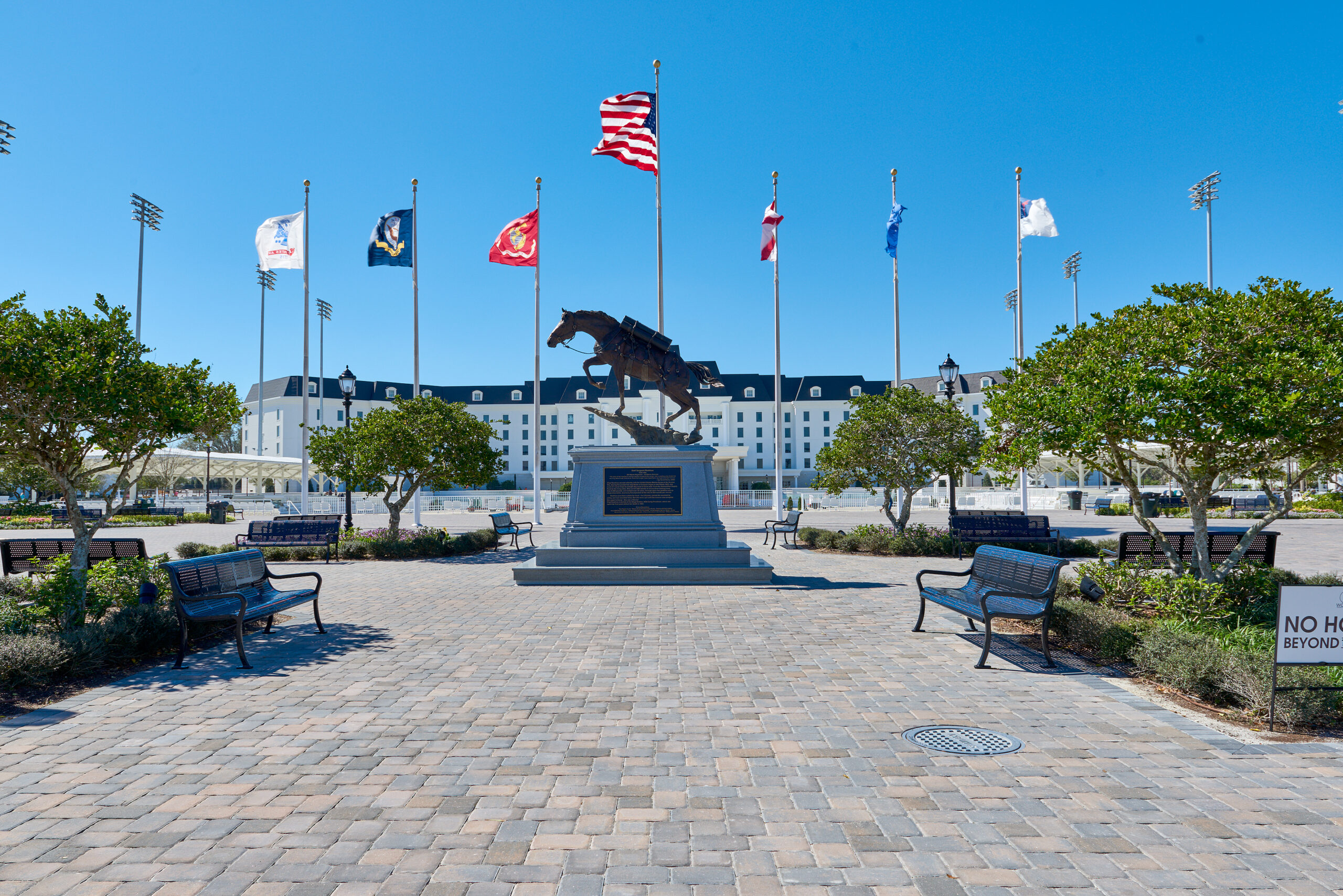 palm trees - tourist attraction