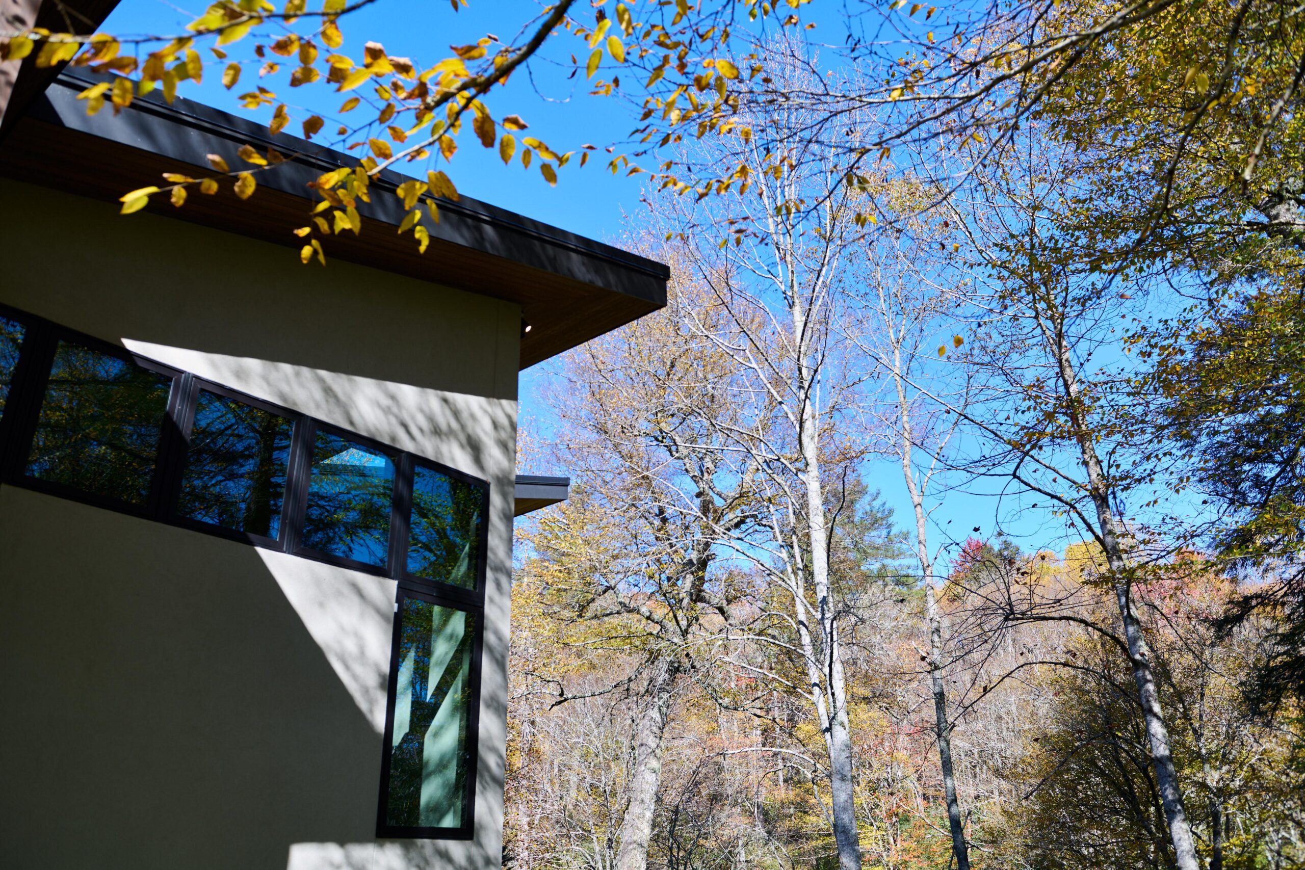 a_modern_house_with_a_wood_roof_and_metal_railing_brdb_highlands_nc_exterior-details_natural_light